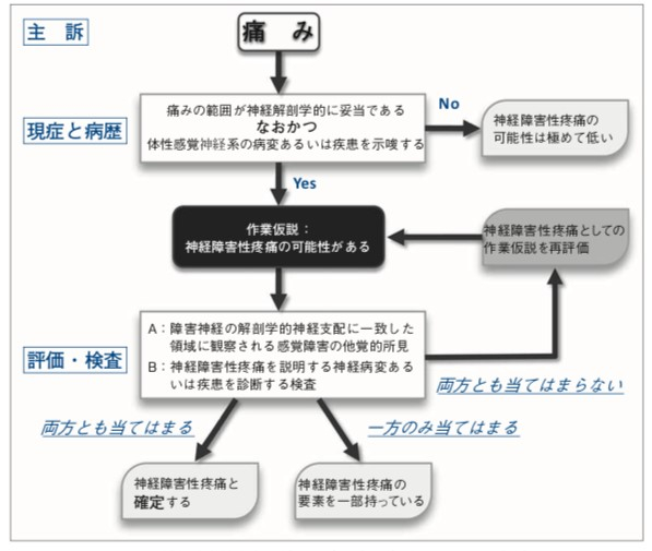 痛みの種類｜神経障害性疼痛 ｜ XPERT