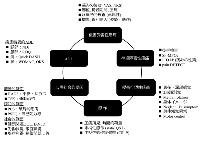 痛みの評価 痛みに推奨される評価 Xpert