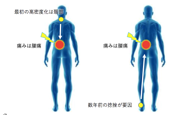 膜・筋膜 人体の張力ネットワーク 最新知見と治療アプローチ 人体の張力ネットワーク 膜・筋膜 最新知見と治療アプローチ/医