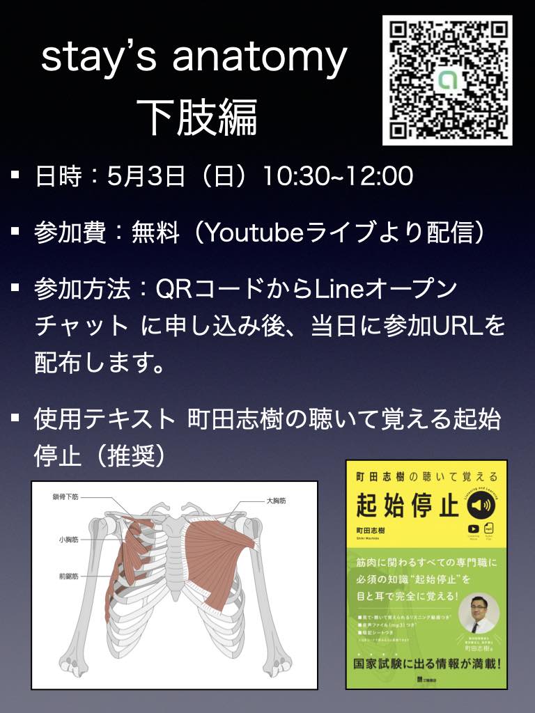 Stay S Anatomy 週末オンライン無料解剖学講義 下肢編 Xpert