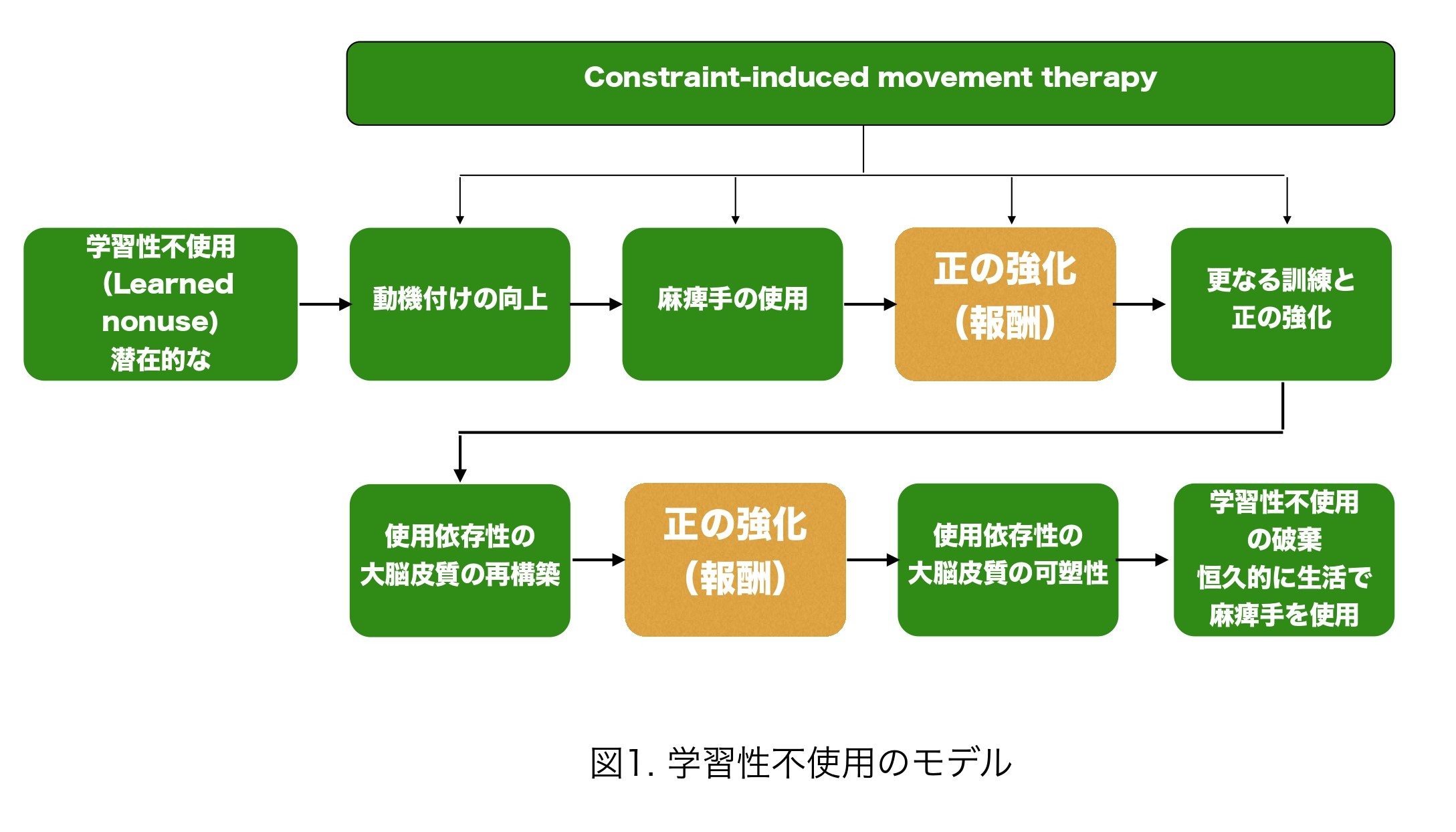 脳卒中後の上肢麻痺に対するアプローチ：Constraint-induced movement therapy ｜ XPERT