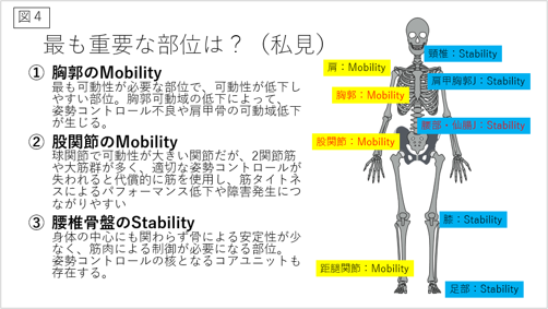 Joint by joint theoryを現場で活用しよう！ 理学療法士とトレーナーの