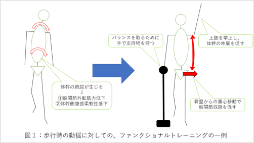 ファンクショナルトレーニングとは？5原則を知って応用してみよう！ ｜ XPERT