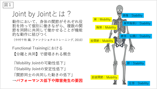 Joint by joint theoryを現場で活用しよう！ 理学療法士とトレーナーの筆者私見も紹介！ ｜ XPERT