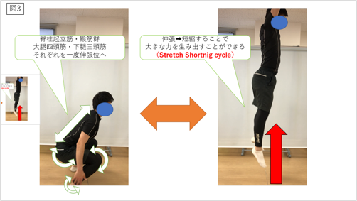 リハビリとトレーニングのためのファンクショナルムーブメント 