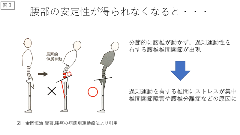 Joint by joint theoryを現場で活用しよう！ 理学療法士と