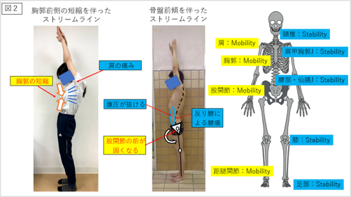 Joint by joint theoryを現場で活用しよう！ 理学療法士とトレーナーの