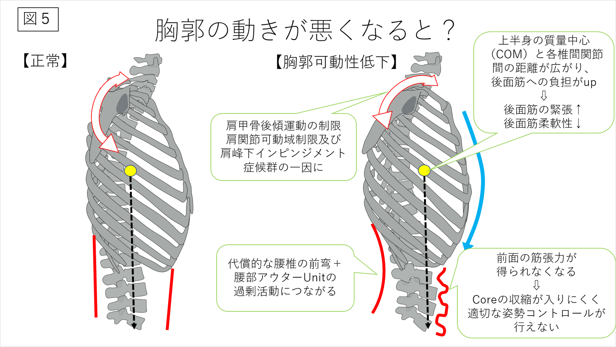 肩の可動性エクササイズ