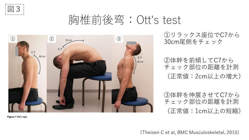 意外と知らない胸郭のバイオメカニクスと実際の評価方法について