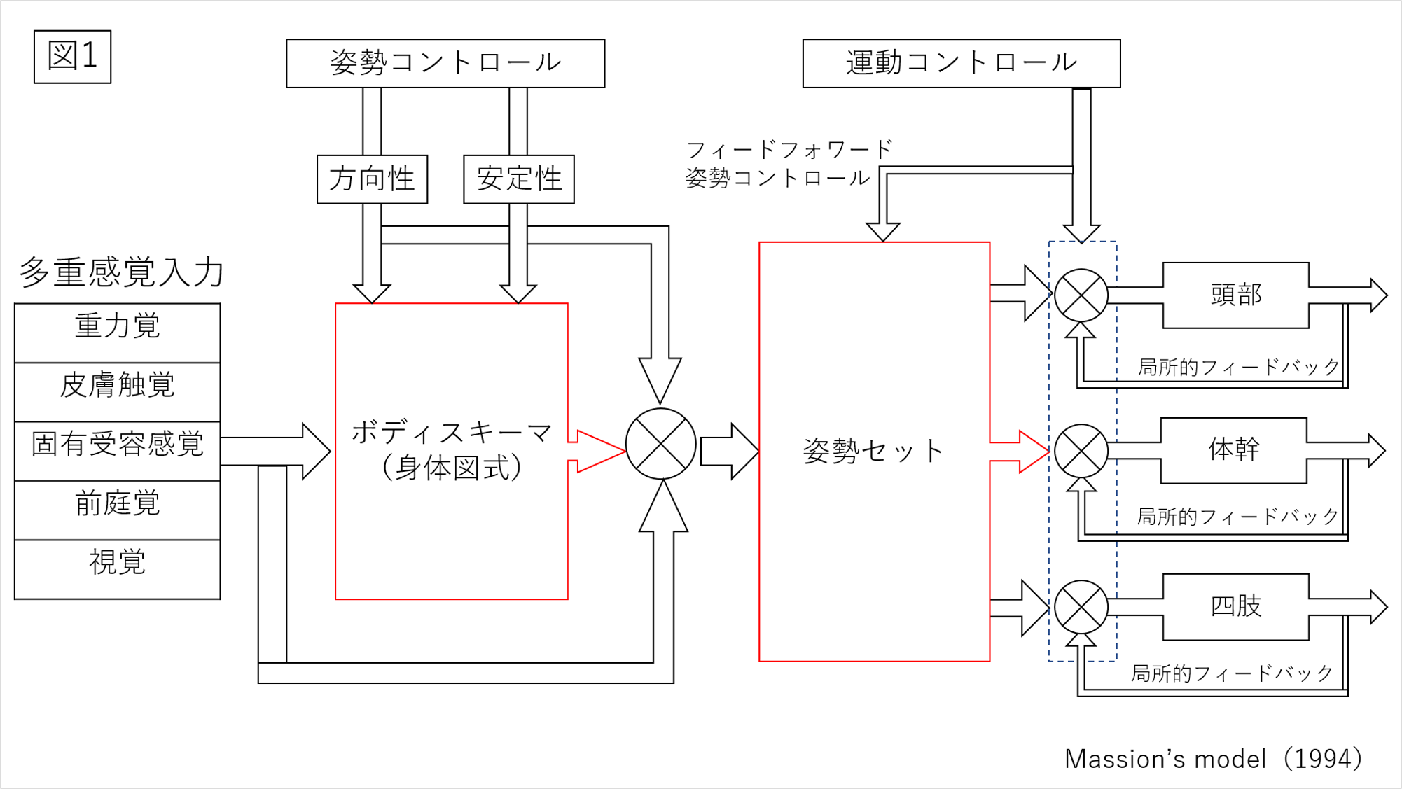 腰椎の安定性について 神経生理学の視点から考える Xpert