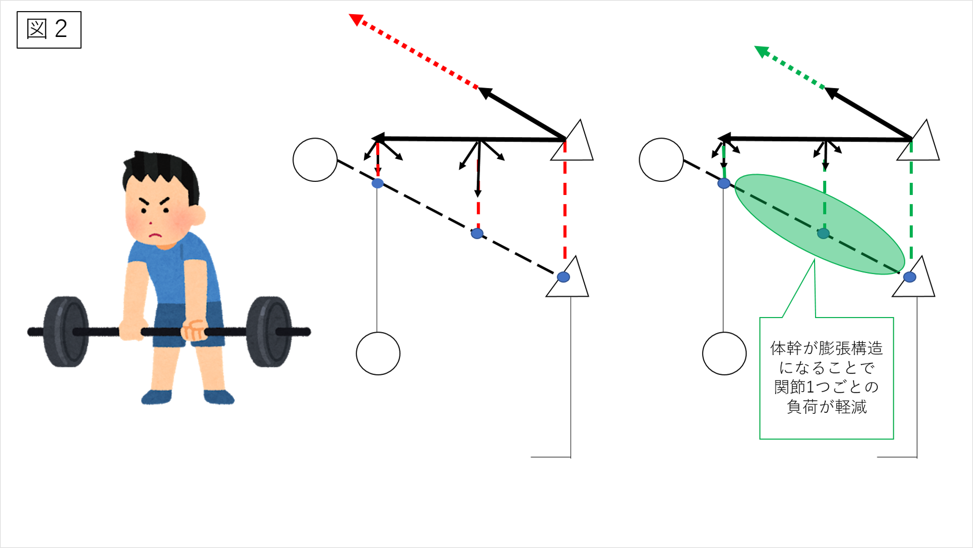 腰椎の安定性について ～運動学と解剖学の視点から考える～ ｜ XPERT