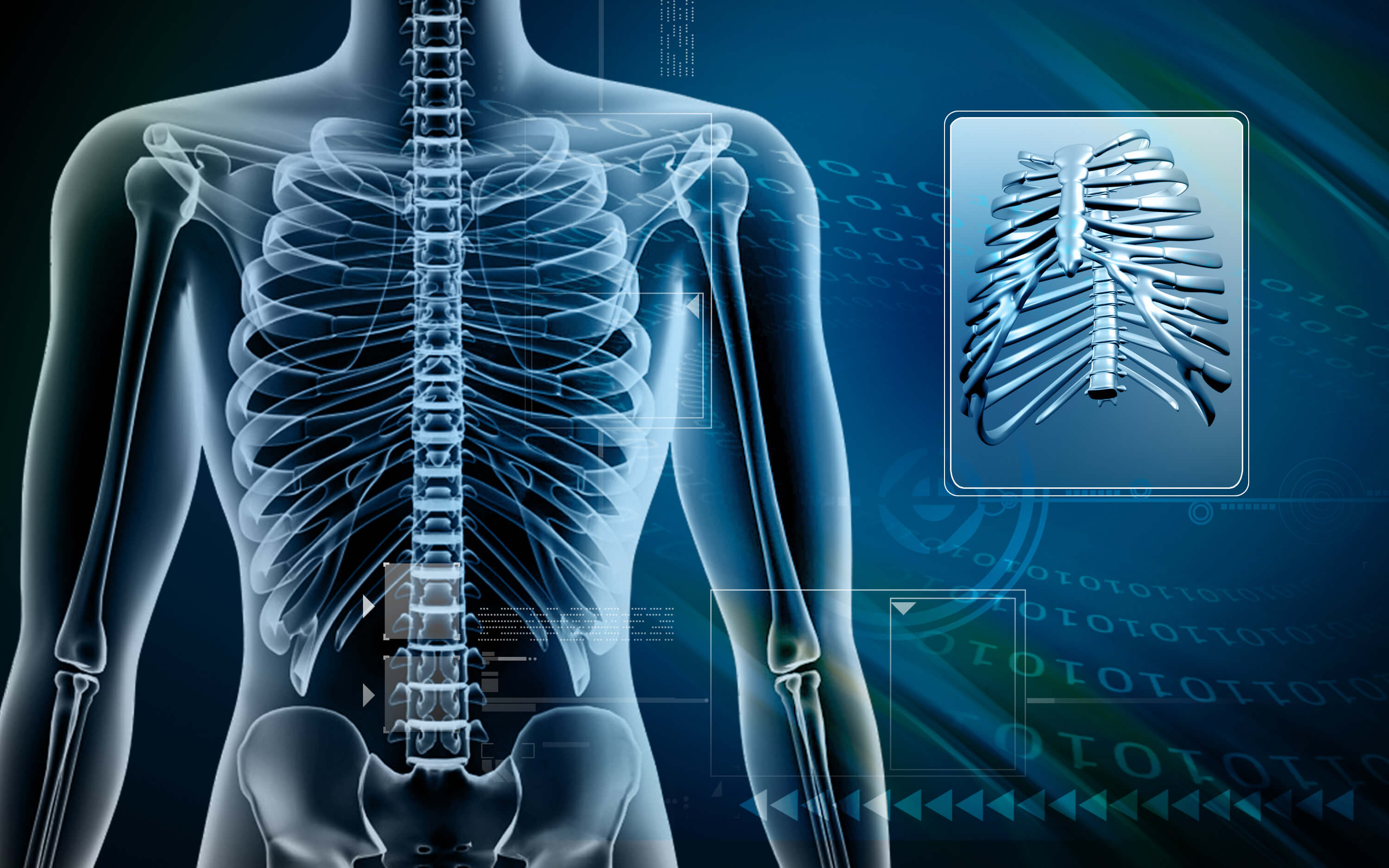 意外と知らない胸郭のバイオメカニクスと実際の評価方法について
