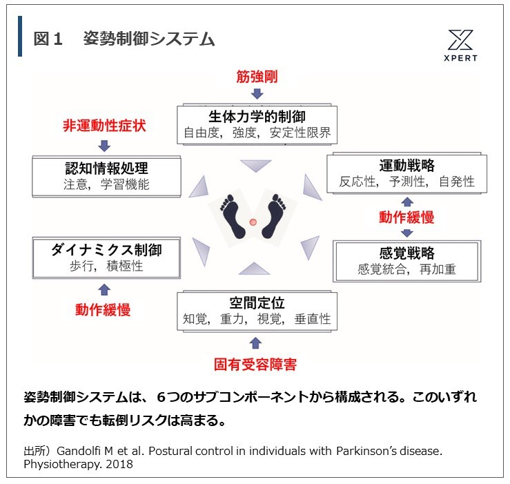 茄子紺 姿勢調節障害の理学療法 - 通販 - www.nautla.gob.mx