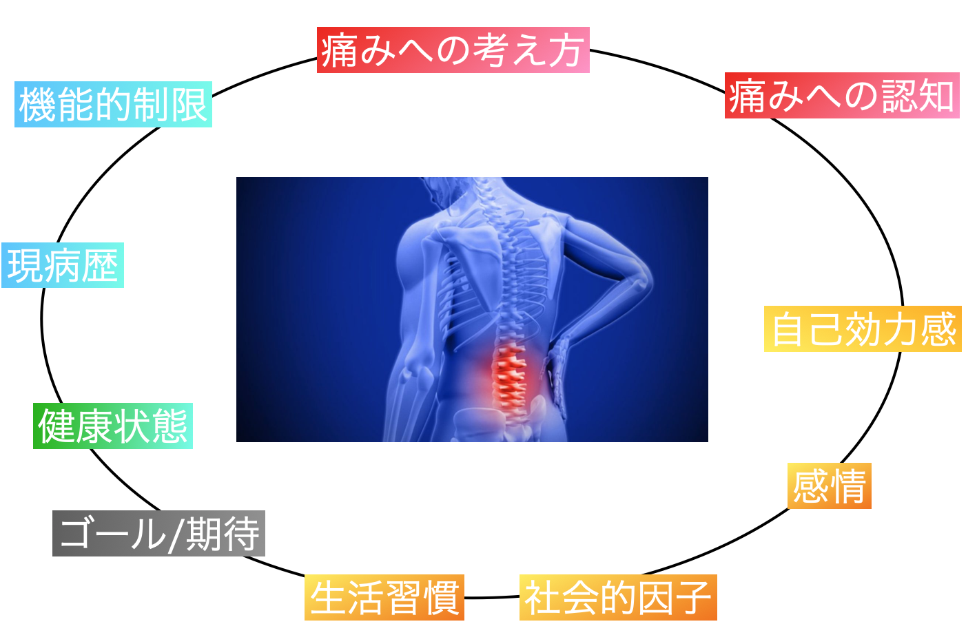 機能解剖学に基づいた腰痛の評価と治療 理学療法士作業療法士柔道整復