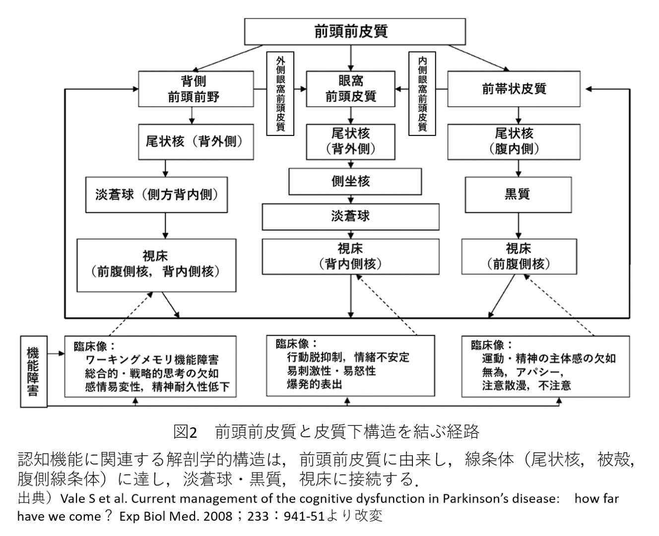 パーキンソン病に関連する認知機能障害① ｜ XPERT