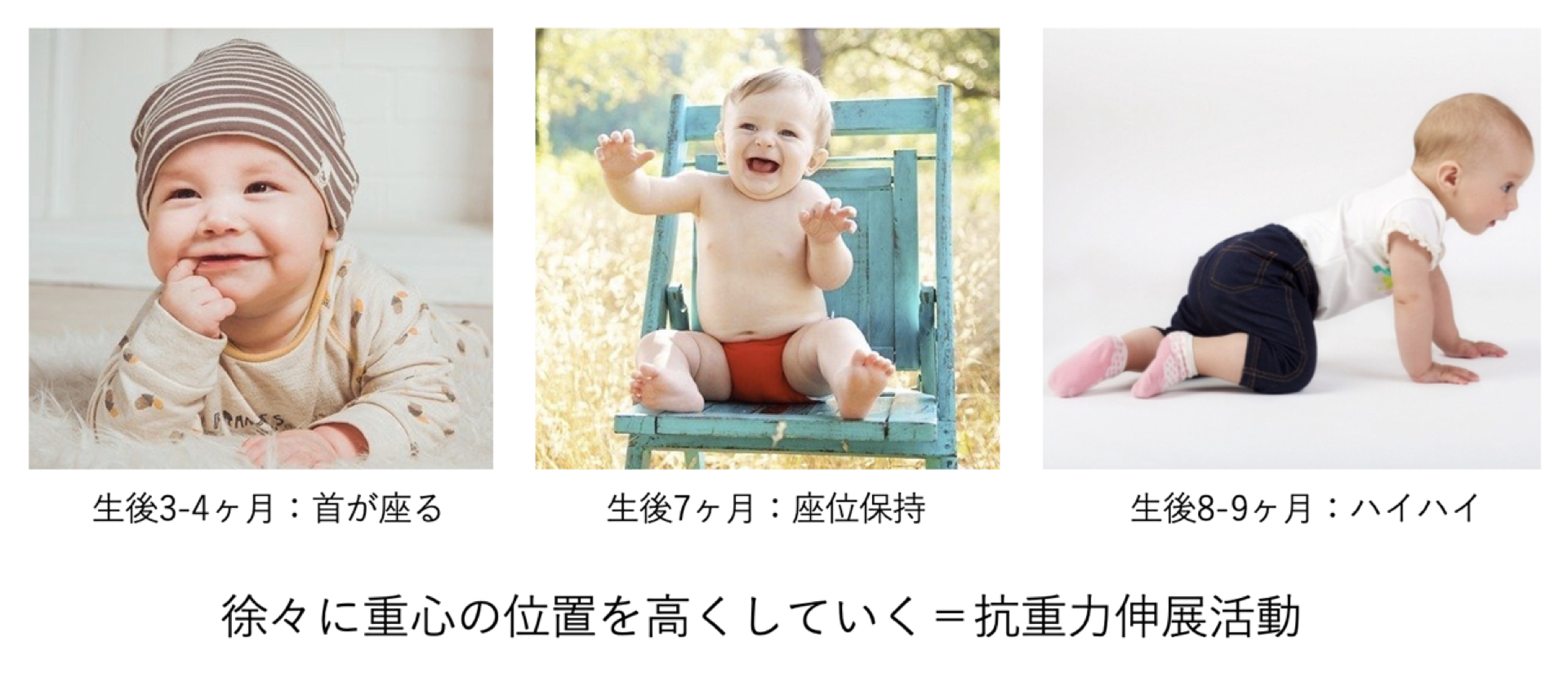 四つ這いエクササイズの効果とは 正常発達と姿勢制御の視点から考える Xpert