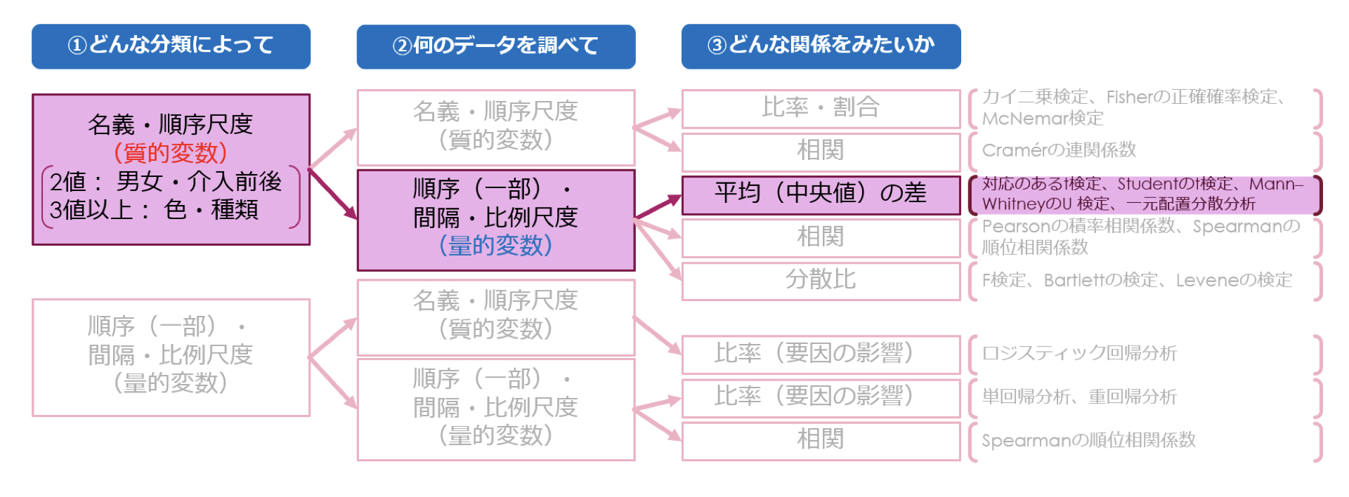 Images Of 間隔尺度 Japaneseclass Jp