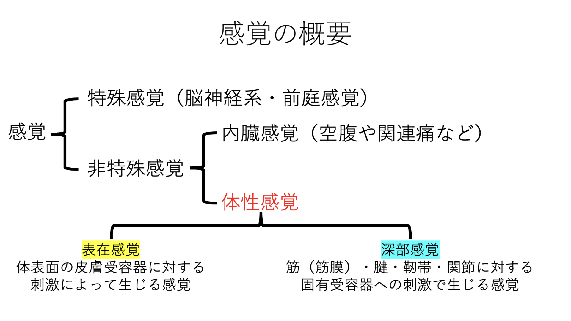 姿勢制御を考える〜表在感覚は姿勢制御を変化させるキーとなるか？〜 ｜ XPERT