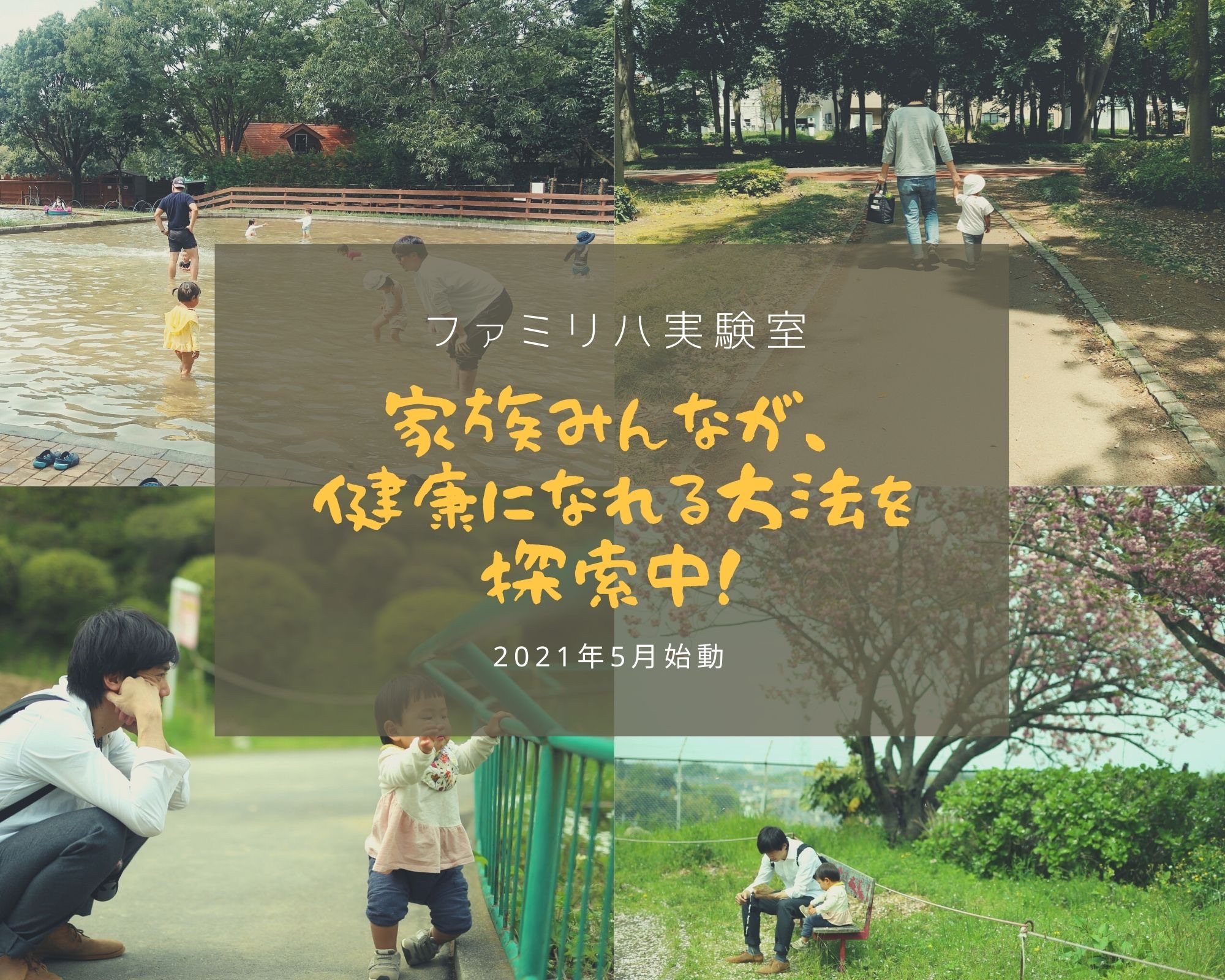 ファミリハ実験室