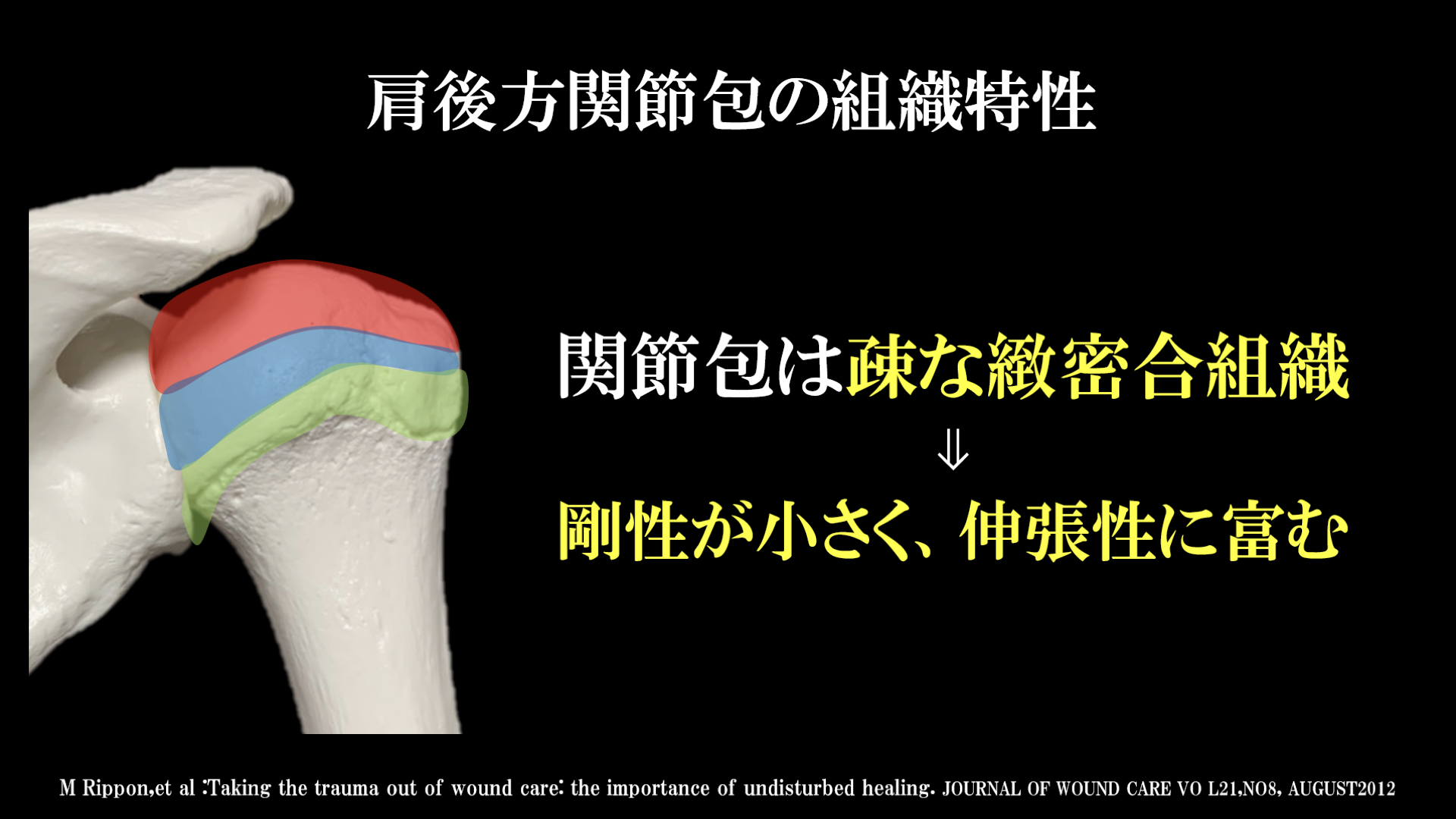 ジャパンライム DVD 肩関節の術後の理学療法~腱板断裂/肩関節不安定症~ ジャパンライム