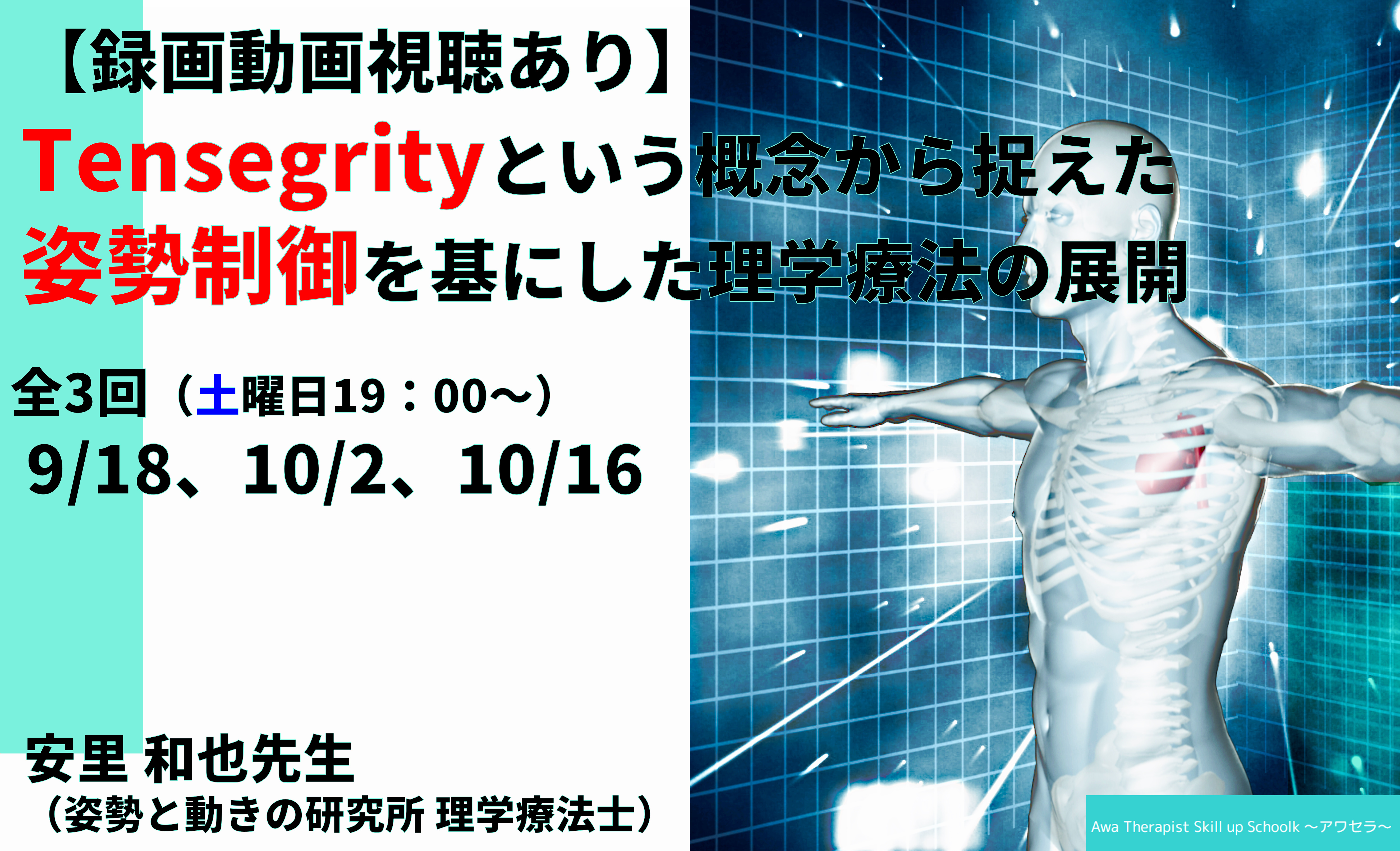 録画動画視聴あり Web 2時間 全3回 第22回 Tensegrity という概念から捉えた姿勢制御を基にした理学療法の展開 アワセラ Awa Therapist Skill Up School 共催 一般社団法人セラピストフォーライフ Xpert