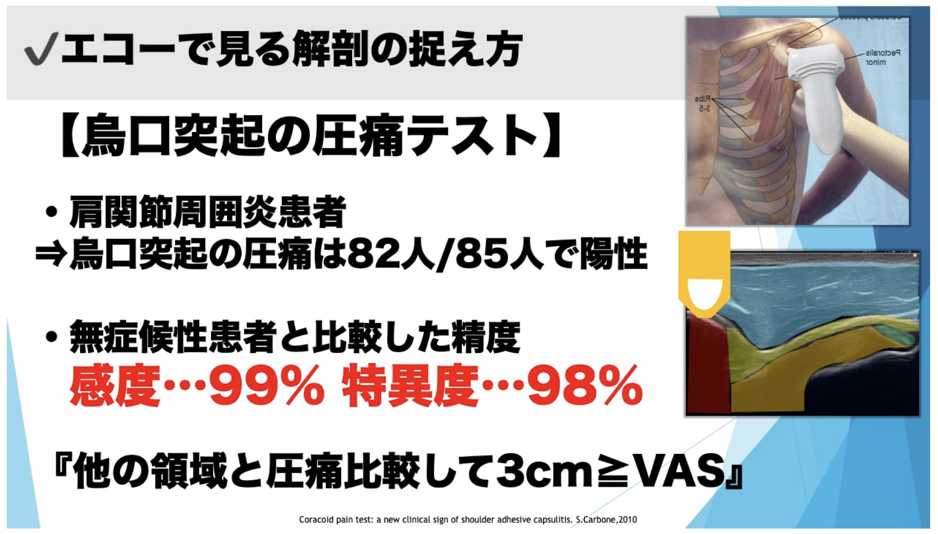 運動器エコーとコメディカルの親和性 ｜ XPERT