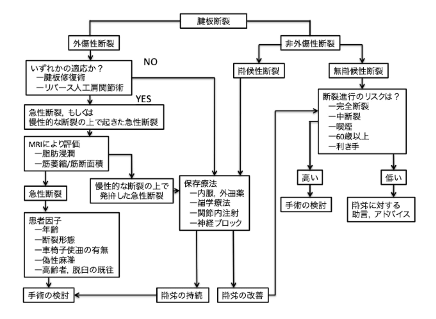 肩関節の術後の理学療法 ～ 腱板断裂／肩関節不安定症 ～ 【DVD全３巻 ...