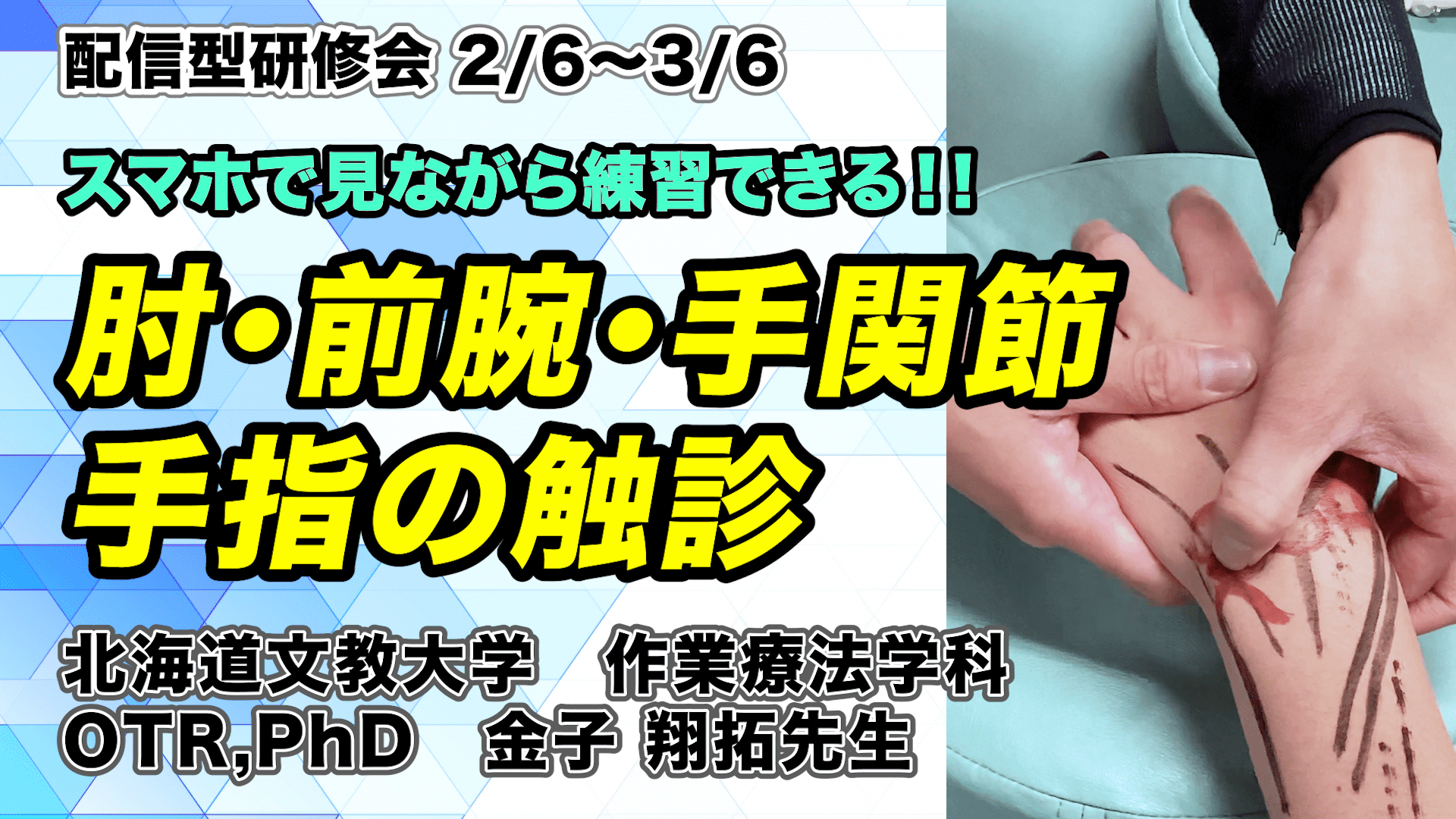 スマホで学べる触診セミナー 肘 前腕 手関節 手指編 Xpert