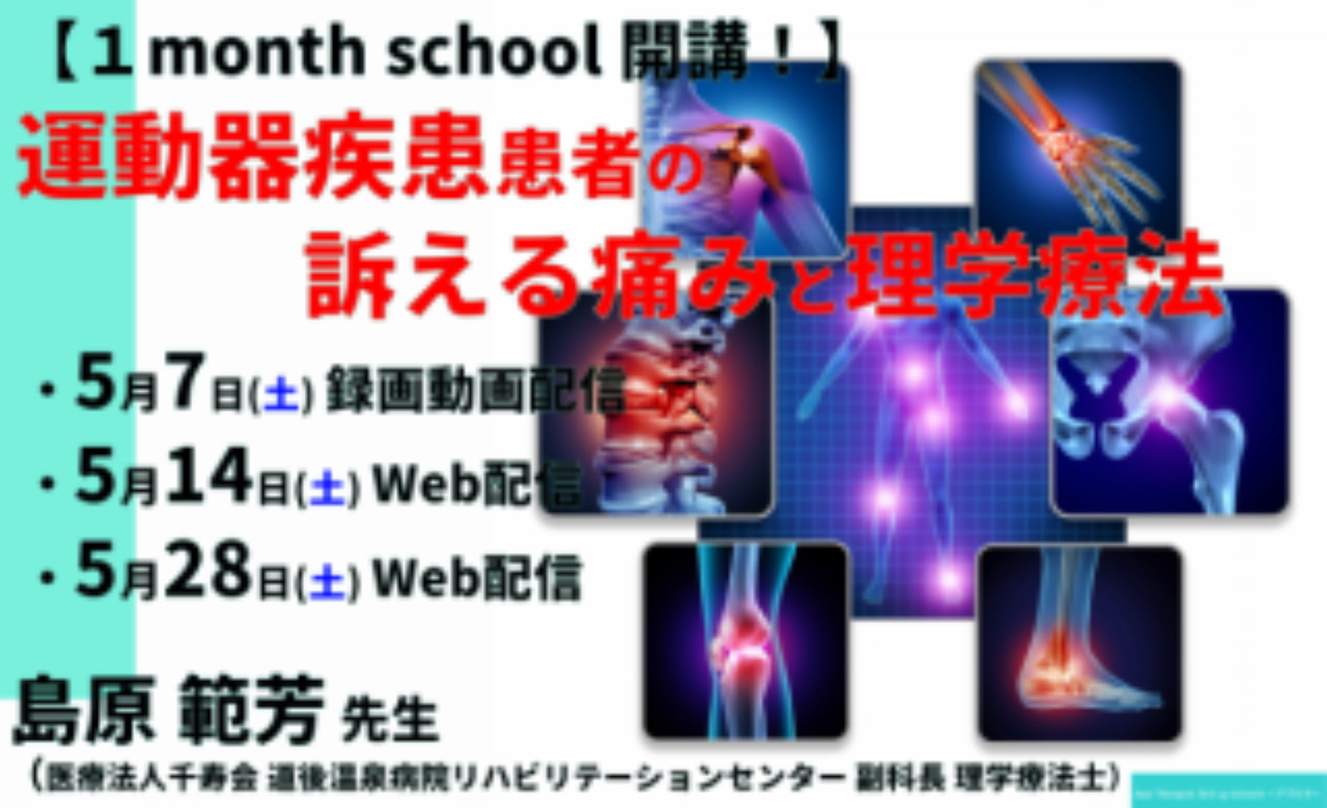 痛みのリハビリテーション 運動器疾患患者の訴える痛みと理学療法 復習動画あり アワセラ1month School 共催 一般社団法人セラピストフォーライフ Xpert 痛みのリハビリテーション 運動器疾患患者の訴える痛みと理学療法 復習動画あり アワセラ1month School 共催 一般社団法人セラピストフォーライフ Xpert
