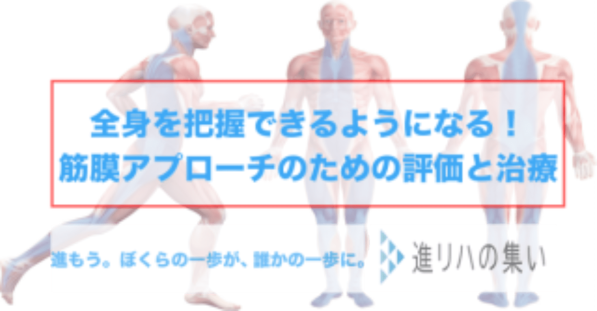 オンラインセミナー】全身を把握できるようになる‼️筋膜アプローチの
