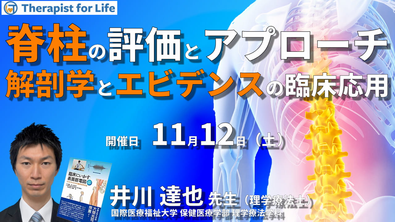 脊柱の評価とアプローチにつなげるための知識と考え方～解剖学知識や