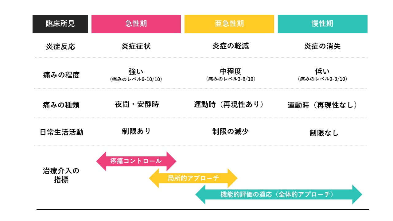姿勢と動作の評価の考え方と手順について ｜ XPERT