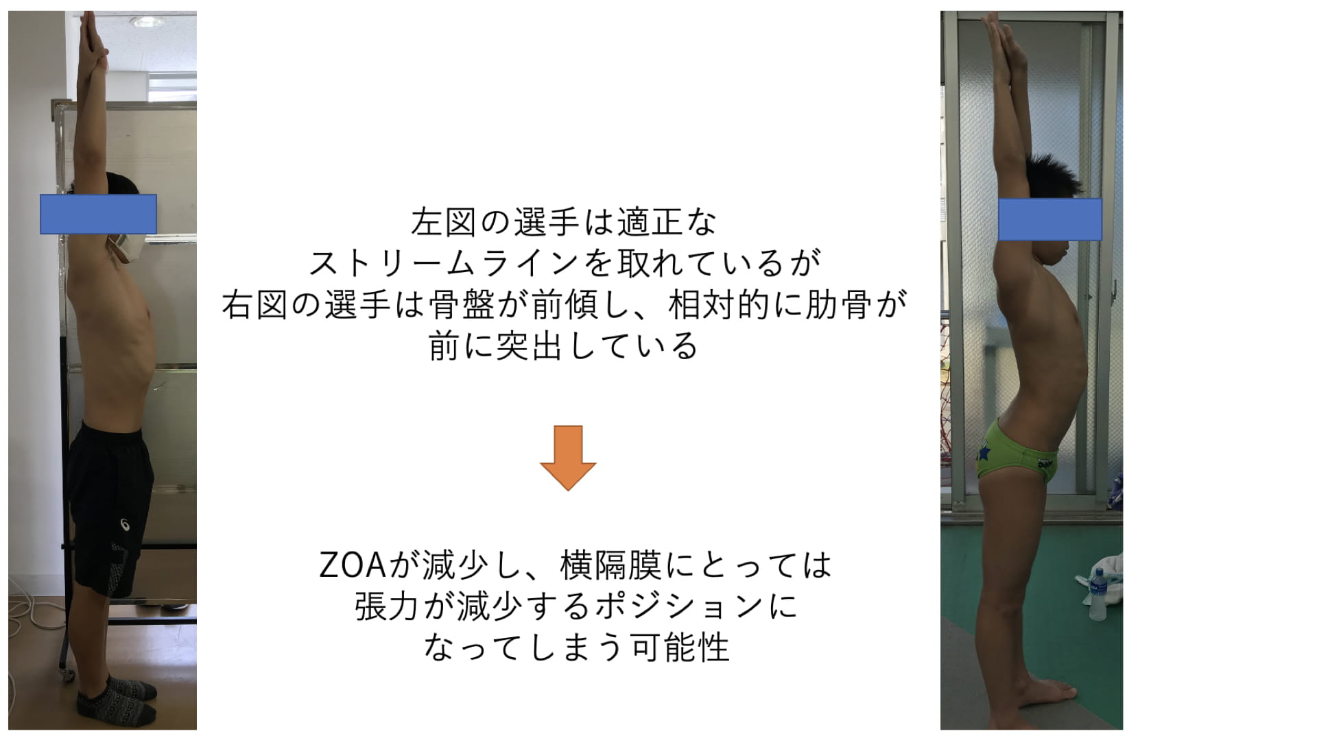 横隔膜および胸郭運動機能が他部位にもたらす影響 ｜ XPERT