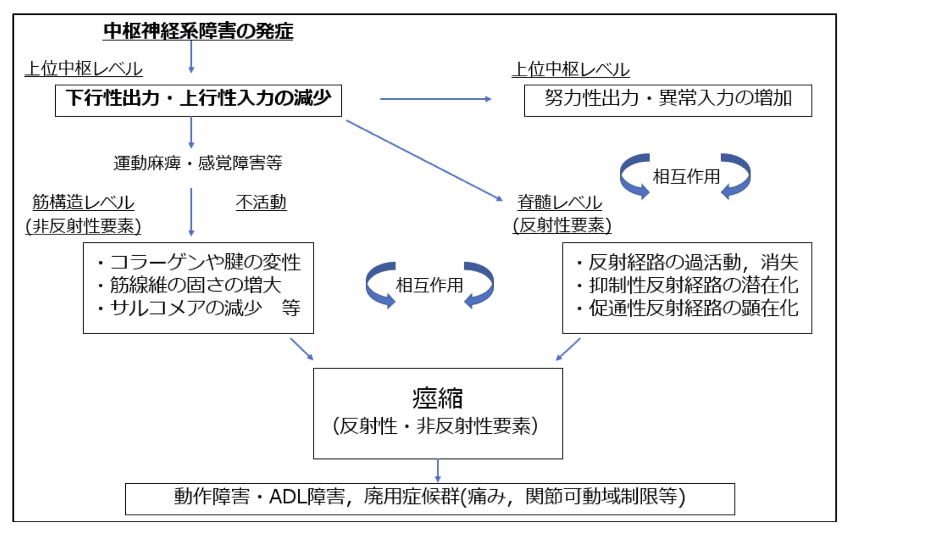 ➀筋緊張異常の評価とアプローチ➁臨床動作促通法-