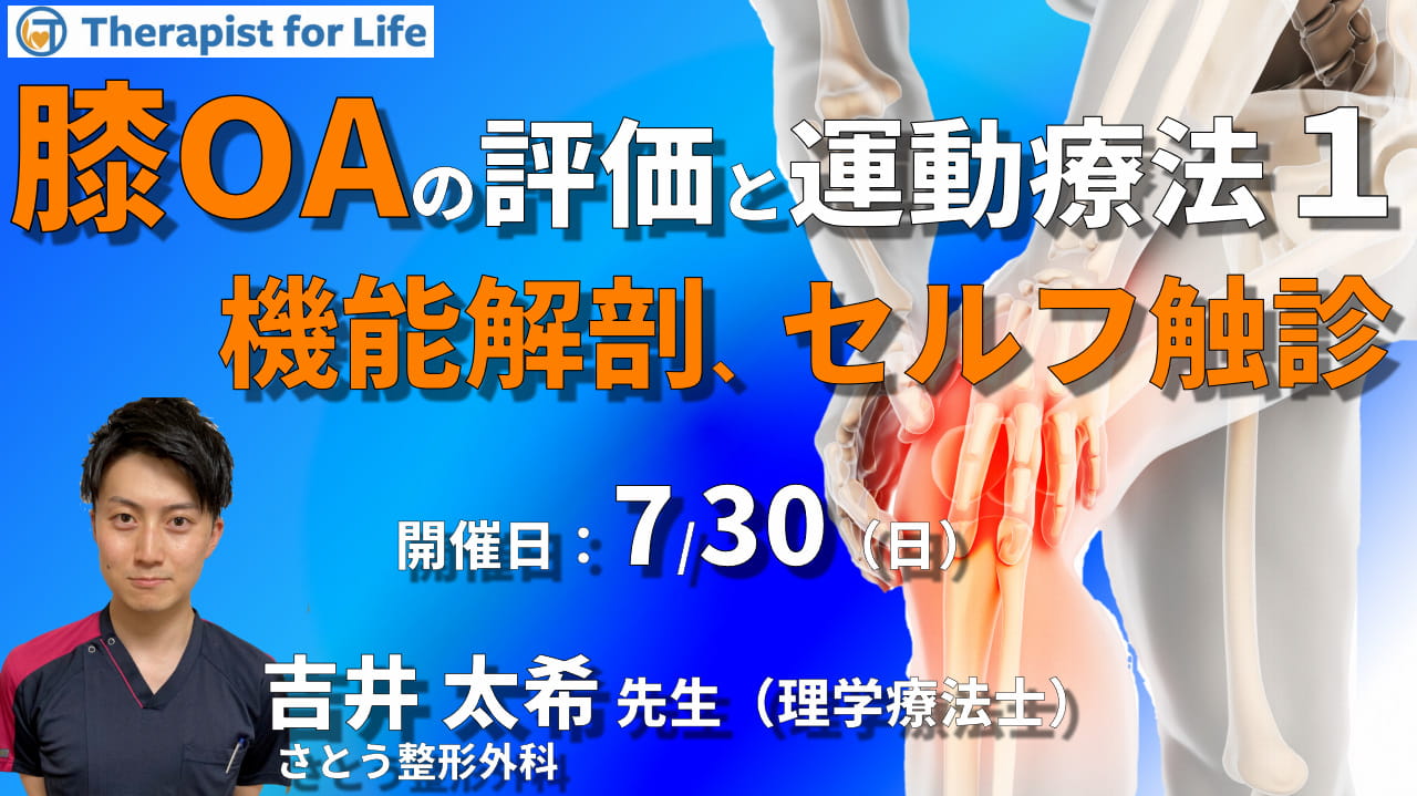 素晴らしい価格 機能解剖と触診 健康・医学 本