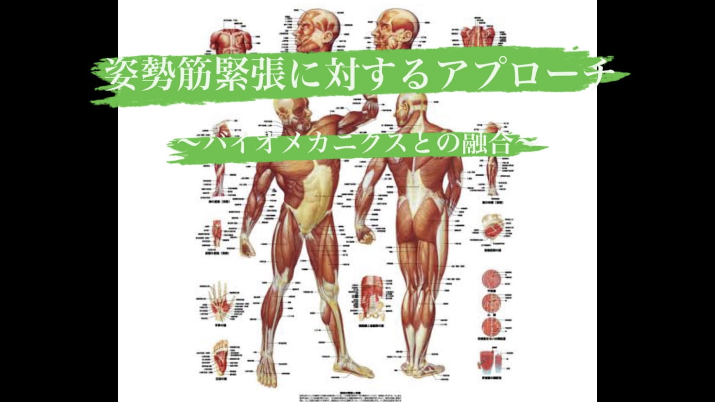 姿勢筋緊張に対するアプローチ〜バイオメカニクスとの融合〜 ｜ XPERT