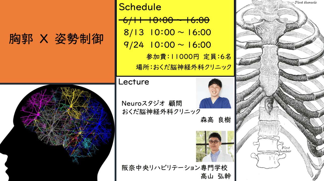 胸郭✖️姿勢制御② 〜知を体現するために必要な基礎知識と技術〜 ｜ XPERT