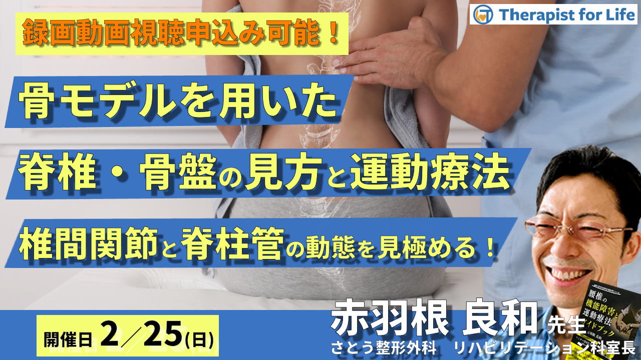 骨モデルからみた脊椎・骨盤の評価と運動療法～椎間関節と脊柱管の動態