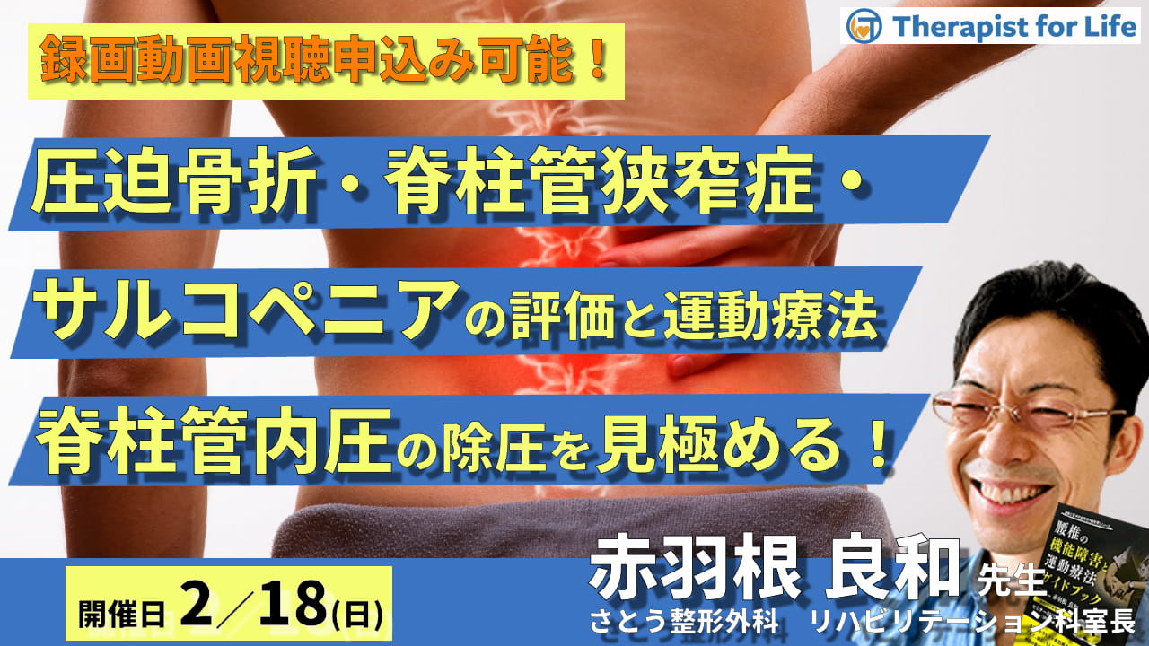 圧迫骨折・脊柱管狭窄症・サルコペニアの評価と運動療法～脊柱