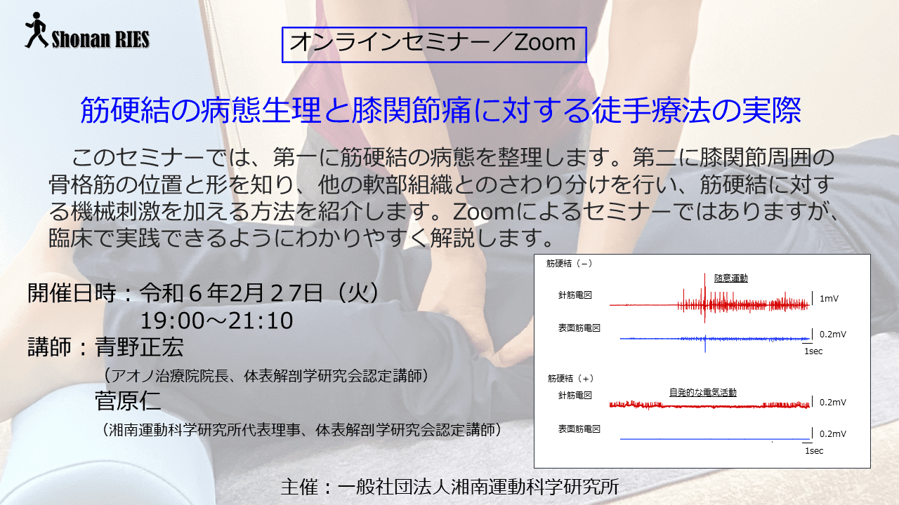 痛みを治す徒手整復療法 : 解剖生理学に基づく手技の実際　林 憲三　新品 痛みを治す 徒手整復療法 —解剖生理学に基づく手技の実際—｜株式会社