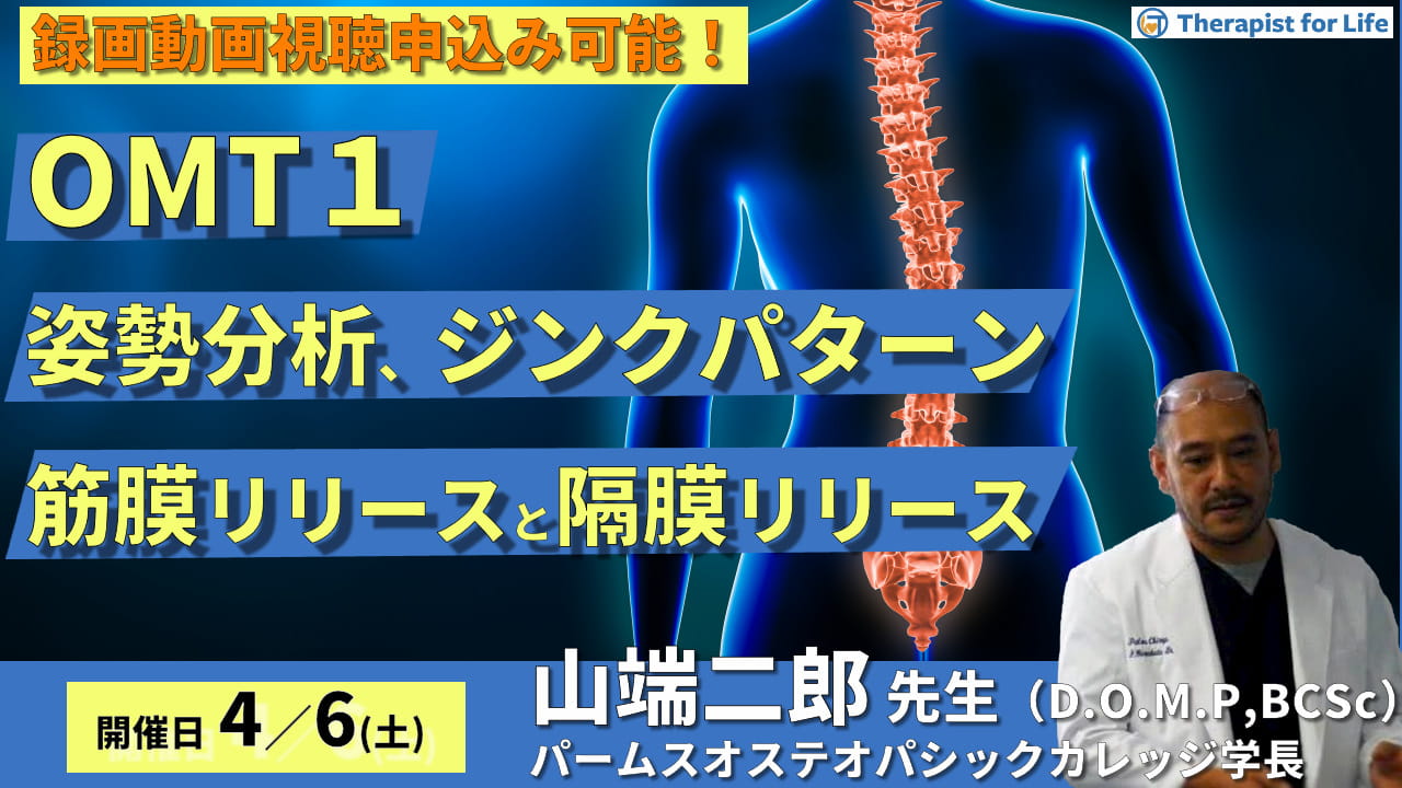 第７期【OMT１】姿勢分析、ジンクパターン、筋膜・間接障壁の触診、筋膜・隔膜リリース、靭帯性ストレイン（ボウストリング）  講師：山端二郎先生【主催：セラピストフォーライフ】 ｜ XPERT