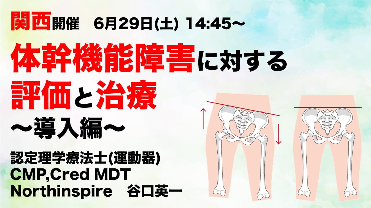 体幹機能障害に対する評価と治療 ～導入編～ ｜ XPERT