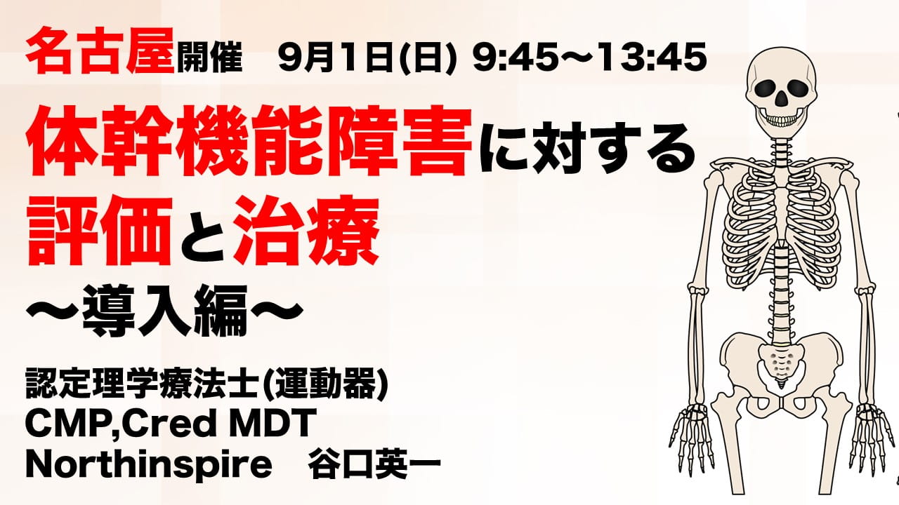 体幹機能障害に対する評価と治療～導入編～ ｜ XPERT