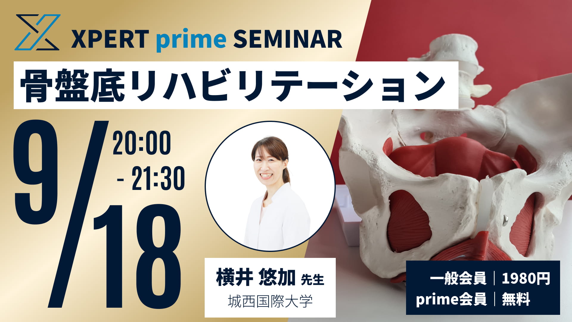 骨盤底リハビリテーション｜骨盤底機能障害と運動器疾患の関連【一般