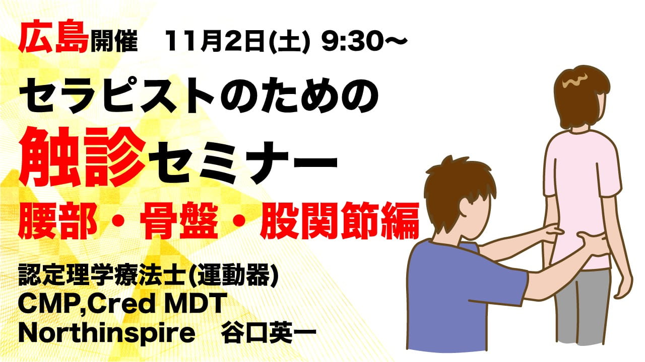 セラピストのための触診セミナー 腰部・骨盤・股関節編 ｜ XPERT