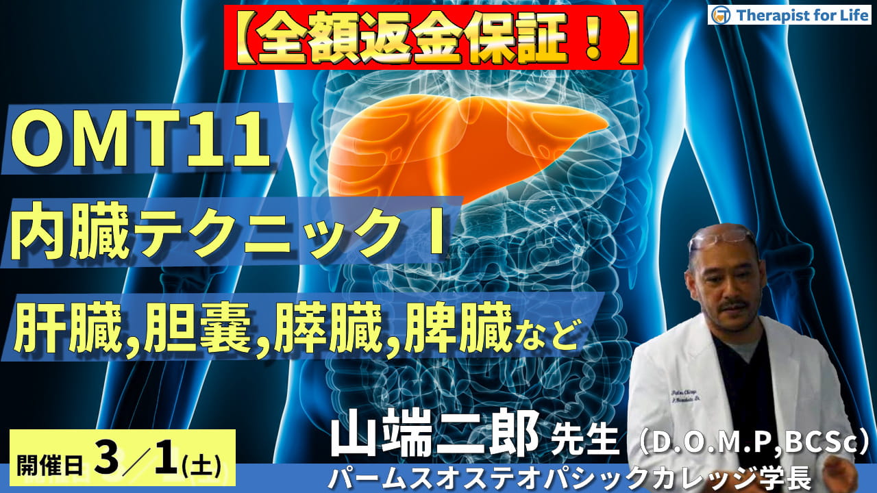 全額返金保証付き】OMTコース：内臓テクニック１（肝臓、胆嚢、胆管、膵臓、脾臓） 講師：山端二郎先生【主催：セラピストフォーライフ】 ｜ XPERT