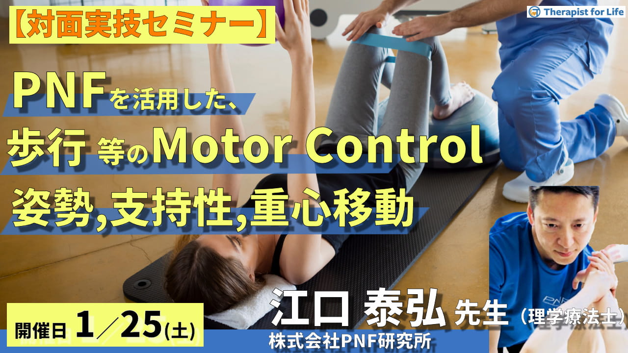 無料セミナー！】ちあき先生の『エコーで学ぶ！』 柔道整復師の