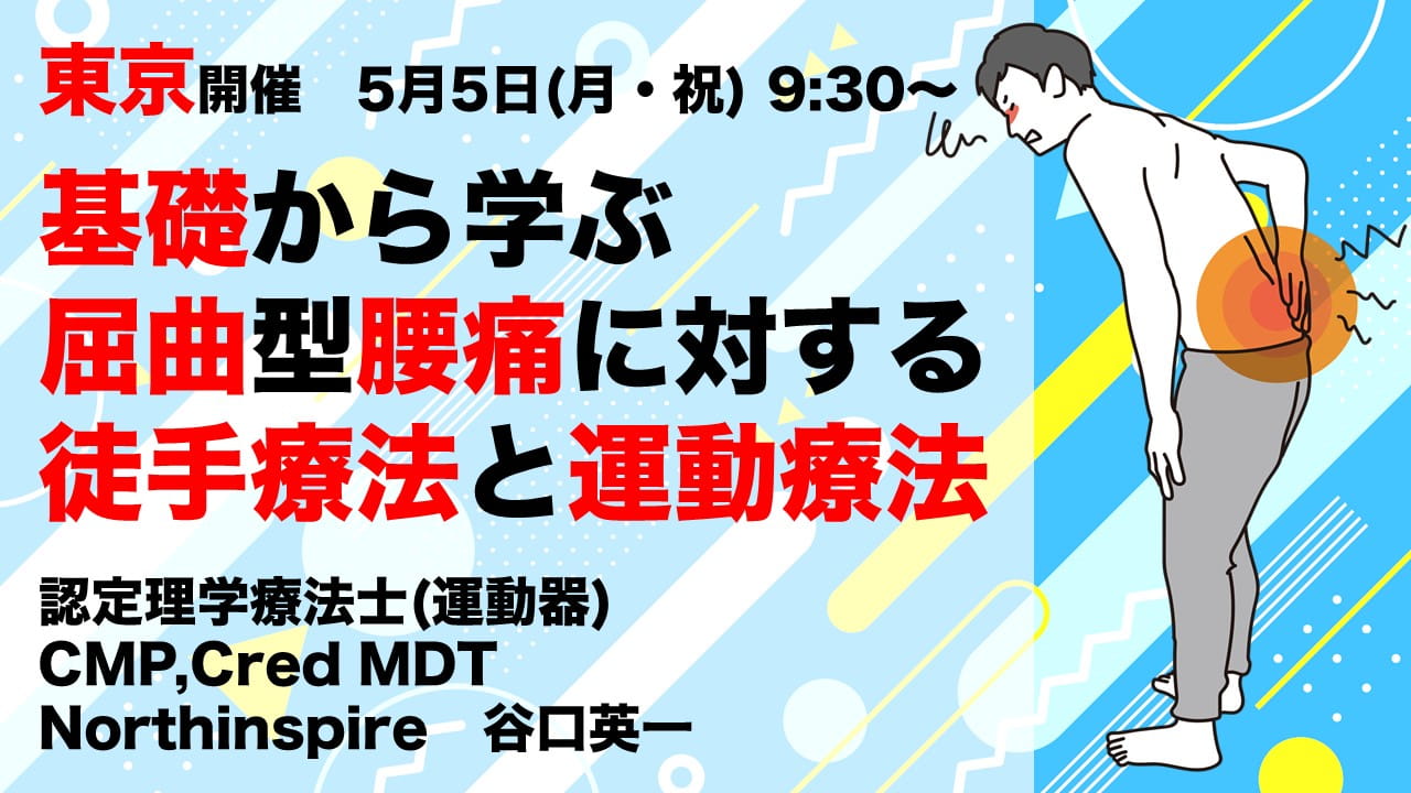 基礎から学ぶ 屈曲型腰痛に対する徒手療法と運動療法 ｜ XPERT