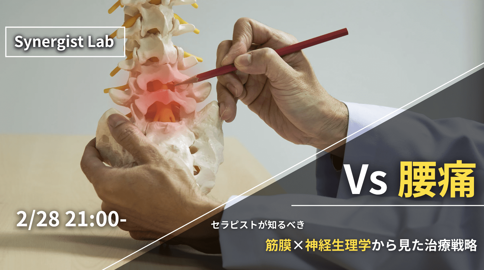 筋膜から腰痛を捉える ｜ XPERT