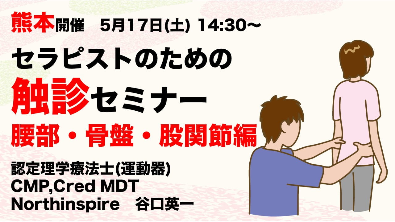 熊本】 セラピストのための触診セミナー 腰部・骨盤・股関節編 ｜ XPERT